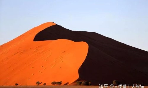 脸上冒红色痘痘有白头-【脸上长痘痘红色白色脓包】脸上长红豆冒白点 - 脸上的红白色豆是不是水痘网